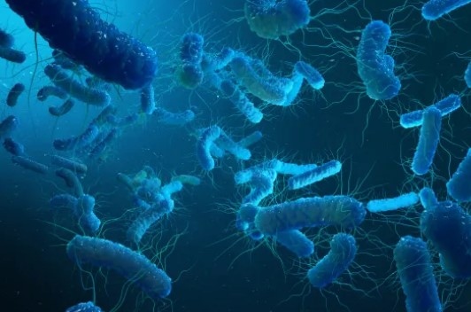 Ръст на случаите на нелечимата бактериална инфекция шигела в Европейския